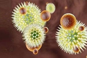 مكافحة الإيبولا على جدول أعمال اجتماع الرئيسة الليبيرية مع أوباما في البيت الأبيض