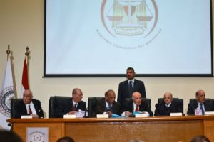 السيسي يسعى لجعل البرلمان والنخبة السياسية غير مؤثرين سياسياً