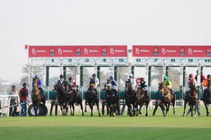 نتائج سباق كؤوس بتلكو وكأس الحمداني 901 للفروسية