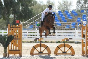 بطولة قفز الحواجز والترويض تنطلق صباح غدٍ الجمعة