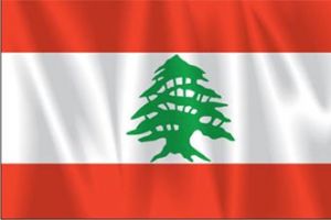 الجيش يضبط كمية من الأسلحة والذخائر في مخبأً شمال لبنان