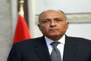 وزير الخارجية المصري يروج في نيويورك لترشح بلاده لمقعد غير دائم بمجلس الأمن