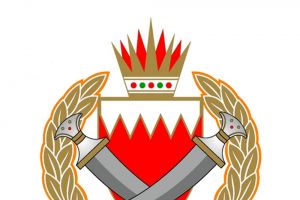 'الداخلية': ضبط سيارة مسروقة وبداخلها طفل رضيع والقبض على الجاني خلال 12 ساعة من تلقي البلاغ