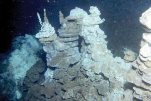 العثور على الحلقة المفقودة في سلسلة تطور الخلايا البدائية