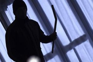 لص منازل بألمانيا يلوذ بالفرار من أحد المساكن بعدما أصابه صغير بالهلع