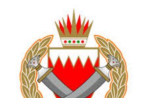 بعد تأييد العلماء للجان الأهلية... 'الداخلية': ضبط الجرائم اختصاص أصيل لرجال الشرطة