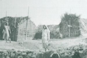 الهجرة نحو المركز: المركزية ونشأة الأسواق التخصصية