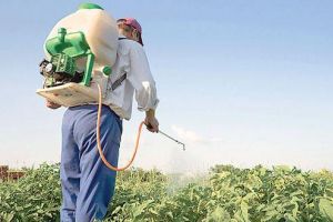 منظمة الصحة العالمية تحذر من مبيدات حشرية تسبب السرطان