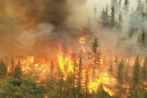 حرائق الغابات تهدد آلاف المنازل في جنوب كاليفورنيا