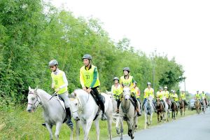 ناصر بن حمد: مشاركتنا في سباق فرنسا لإبقاء الفرسان على جاهزية تامة لمختلف البطولات