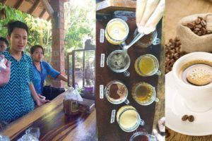 «كوبي لواك».. أغرب قهوة في العالم وأغلاها