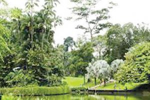 إدراج حدائق نباتية في سنغافورة ضمن قائمة التراث العالمي