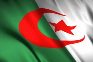 الحكومة الجزائرية تكلف الجيش إنهاء العنف في الجنوب