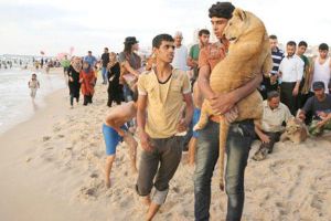 عمان تمنح مأوى لشبلي أسد من غزة