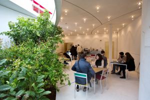 'الرنقينة' البحرينية تحوز المركز الأول عالميًا لفئة الحلويات