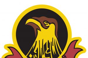    الأهلي يطلق مهرجان 'الميكرو' كل جمعة   