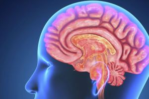 لعبة كومبيوتر قد تحسن حياة مرضى انفصام الشخصية