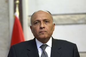    وزير الخارجية المصري يبحث الملف السوري مع نظيريه الروسي والأميركي