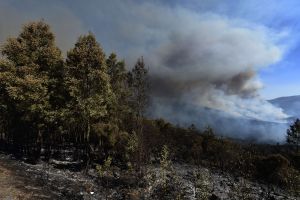 النيران تلتهم عشرات آلاف الهكتارات من الغابات في سيبيريا