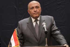 محادثات مصرية جزائرية بشأن تطورات الأوضاع في ليبيا