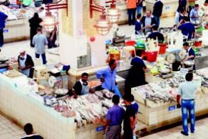 الكويت: حملة مقاطعة شراء الأسماك تحت شعار 'خلّه يخيس'