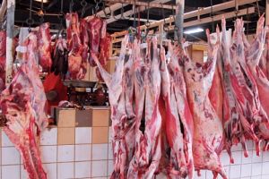 جمال داود غفلة الحكومة عن ارتفاع الأسعار نتائجها وخيمة