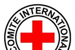 الصليب الأحمر: متمردون في دارفور يفرجون عن 18 جنديا سودانيا كانوا أسرى لديهم