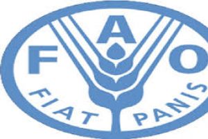 أسعار الغذاء العالمي تسجل هبوطاً حاداً في أغسطس