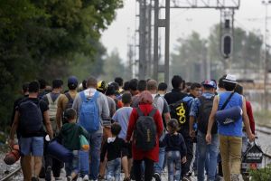 'قلنسوة الموت' تصيب لاجئين سوريين بالتسمم في ألمانيا