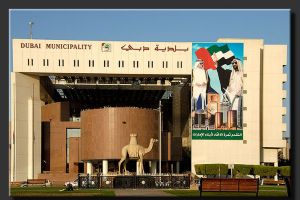  إلزام المقاهي في دبي بخرطوم الشيشة أحادي الاستخدام