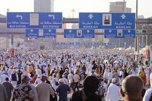 منظمة الصحة العالمية تفعّل الاستعدادات لبداية موسم الحج