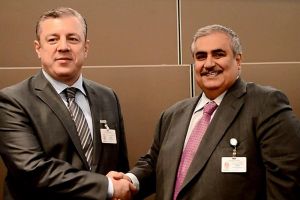 وزير الخارجية يبحث العلاقات مع العراق وجورجيا والسويد وسانت فنسينت والجرينادينز