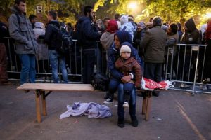 لمساعدة اللاجئين... ألمانيا تترجم دستورها إلى العربية