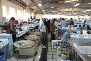 الأسماك تصمُد أمام رفع الدعم عن اللحوم... والباعة: حركة السوق طبيعية والأسعار مستقرة