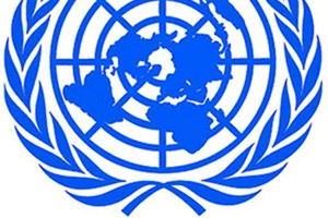 الأمم المتحدة تدين الهجوم الانتحاري المزدوج في الكاميرون