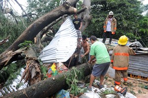 ارتفاع حصيلة ضحايا اعصار الفلبين إلى 14 قتيلاً