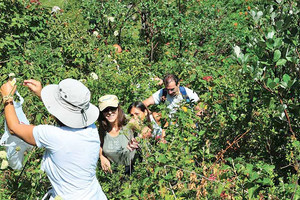 رحلة في أرمينيا... 