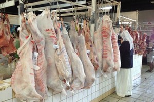 السعودية : بلدية القطيف تشدد على تطبيق الاشتراطات الصحية في أسواق اللحوم