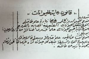 قانون بحريني لرعاية الحيوانات قبل صدور الميثاق الأممي بـ 25 سنة