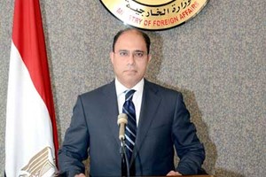 مصر: ادعاءات تفادي طائرة بريطانية لصاروخ 'منافية للعقل'