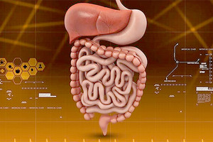 حقائق وحلول عن سوء الهضم