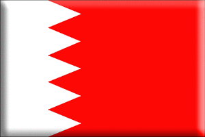 البحرين تدين الهجوم الإرهابي على فندق 'راديسون بلو' بمالي
