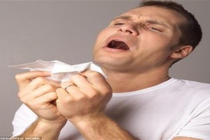 دراسة: مليونا حادث مروري في العالم بسبب العطاس