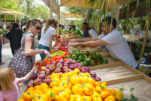 'الزراعة': السبت إطلاق النسخة الرابعة من 'سوق المزارعين' في حلته الجديدة