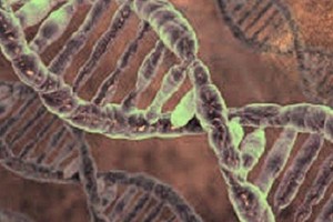 دراسة: المناصب الرئاسية تقصِّر الأعمار و'النيابية' تطيلها