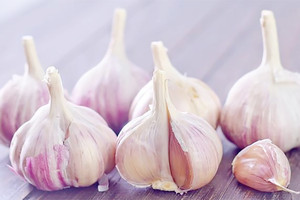 صدق أو لا تصدق... رائحة الثوم تجذب المرأة نحو الرجل!