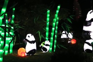 بالفيديو... أكبر حديقة متوهجة في دبي