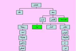 الساحل الغربي قبل الإسلام: بين الفرضيات السردية واللقى الأثرية