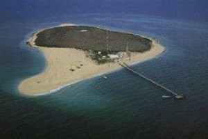 جزيرة «أم النمل» الكويتية...كنز أثري شاهد على تاريخ المنطقة