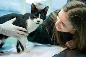 فتاة ألمانية تعثر على قطها بعد سبع سنوات